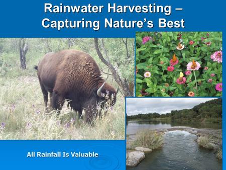 Rainwater Harvesting – Capturing Natures Best All Rainfall Is Valuable.