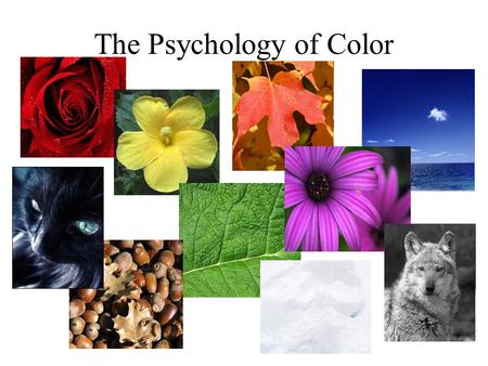 The Psychology of Color. Red produces strong emotions of excitement and intensity most exciting color love and comfort is used to focus/ draws attention.