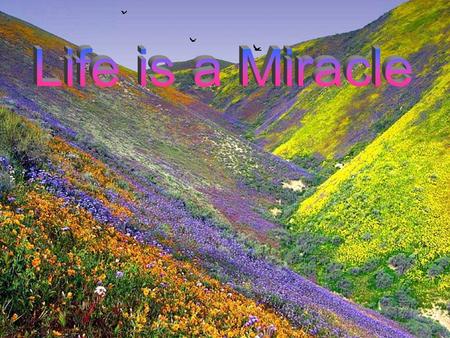 Life is a miracle Don't let it slip away, Open your heart to others Give of yourself each day.