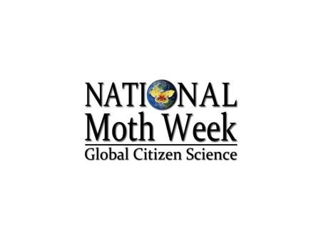 What is a Moth? A presentation for National Moth Week By Deborah Lievens.
