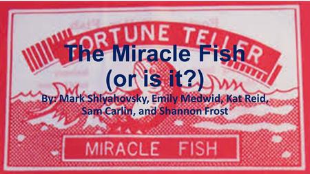 The Miracle Fish (or is it?) By: Mark Shlyahovsky, Emily Medwid, Kat Reid, Sam Carlin, and Shannon Frost.
