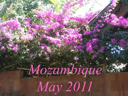 Mozambique May 2011. Matthew 28: 19 Therefore go and make disciples of all nations, …