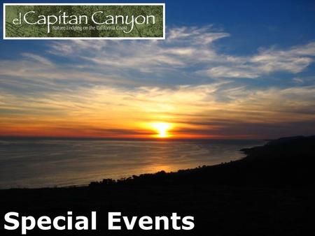 Special Events. Cedar Cabins Lush Surroundings Friendly Visits.