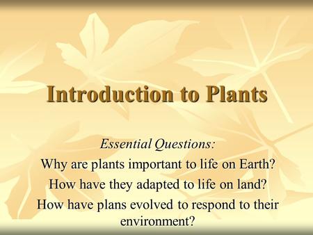 Introduction to Plants Essential Questions: Why are plants important to life on Earth? How have they adapted to life on land? How have plans evolved to.