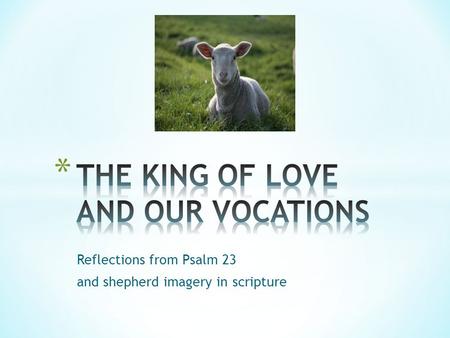 Reflections from Psalm 23 and shepherd imagery in scripture.