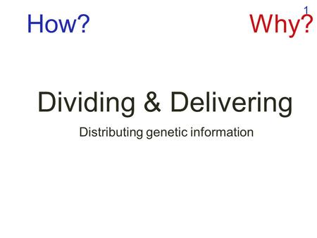 1 Dividing & Delivering Distributing genetic information How?Why?