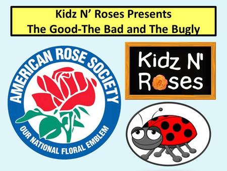 Kidz N Roses Presents The Good-The Bad and The Bugly.