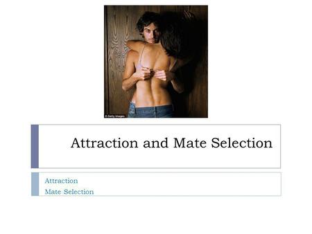 Attraction and Mate Selection