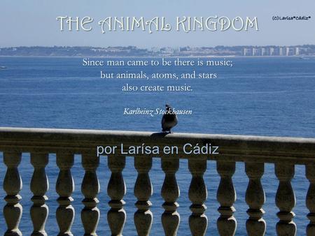 por Larísa en Cádiz Since man came to be there is music; but animals, atoms, and stars also create music. Karlheinz Stockhausen but animals, atoms, and.