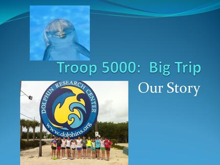 Our Story. Troop 5000 always loved dolphins! The troop had many fund raisers to benefit wild life, especially marine animals! From Pedal for Penguins.
