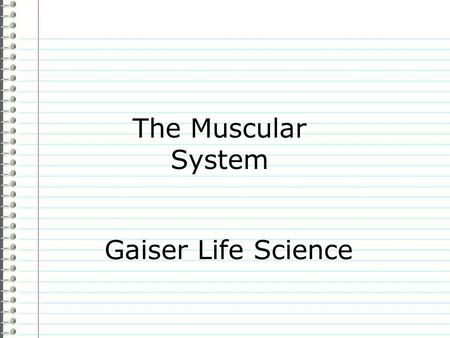 The Muscular System Gaiser Life Science.