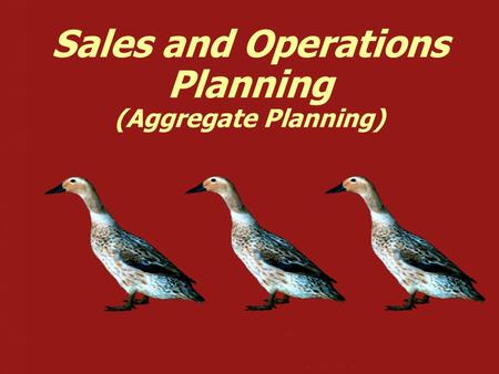 Sales and Operations Planning (Aggregate Planning)