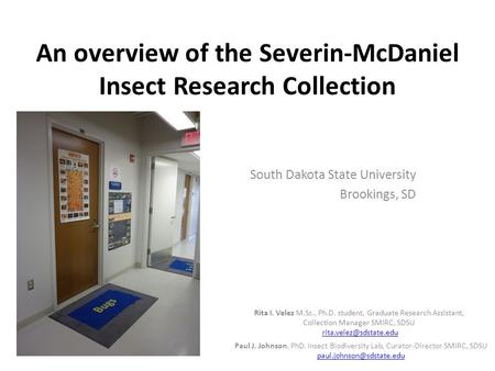 An overview of the Severin-McDaniel Insect Research Collection South Dakota State University Brookings, SD Paul J. Johnson, PhD. Insect Biodiversity Lab,