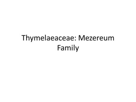 Thymelaeaceae: Mezereum Family. Thymelaeaceae In the world there are 50 genera and 500 species- most are in Africa and Asia Most are shrubs Bark is difficult.