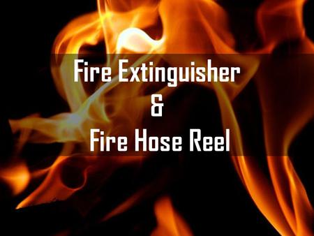 Fire Extinguisher & Fire Hose Reel