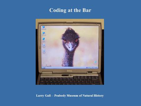 Coding at the Bar Larry Gall -- Peabody Museum of Natural History.