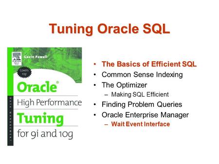Tuning Oracle SQL The Basics of Efficient SQLThe Basics of Efficient SQL Common Sense Indexing The Optimizer –Making SQL Efficient Finding Problem Queries.