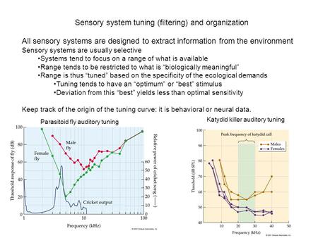 Sensory system tuning (filtering) and organization All sensory systems are designed to extract information from the environment Sensory systems are usually.