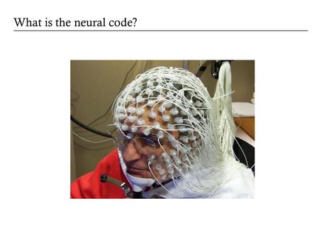 What is the neural code?. Alan Litke, UCSD Reading out the neural code.