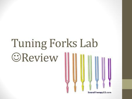 Tuning Forks Lab Review