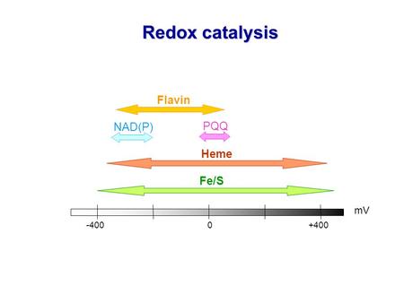 Redox catalysis Flavin NAD(P) PQQ Heme Fe/S mV -400			0		 +400.