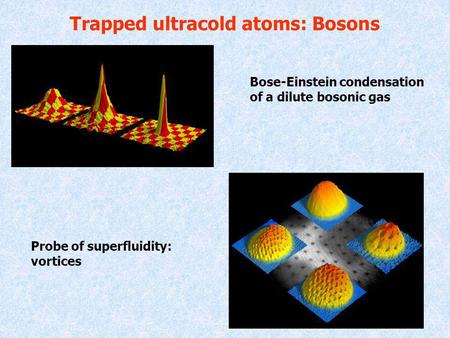 Trapped ultracold atoms: Bosons Bose-Einstein condensation of a dilute bosonic gas Probe of superfluidity: vortices.