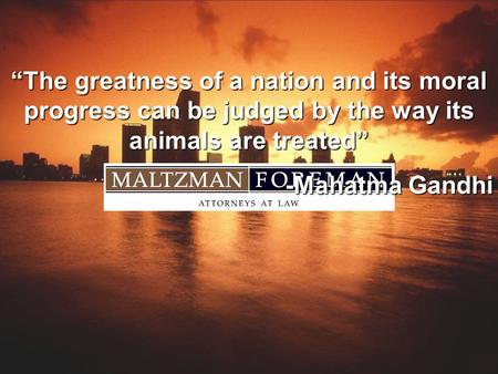 The greatness of a nation and its moral progress can be judged by the way its animals are treated -Mahatma Gandhi.