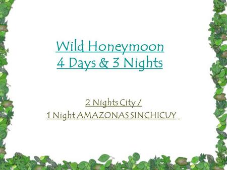 Wild Honeymoon 4 Days & 3 Nights 2 Nights City / 1 Night AMAZONAS SINCHICUY.
