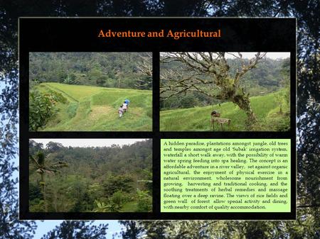 Adventure and Agricultural Palaga Presentation A hidden paradise, plantations amongst jungle, old trees and temples amongst age old 'Subak' irrigation.
