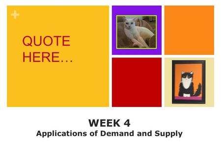 + WEEK 4 Applications of Demand and Supply QUOTE HERE…