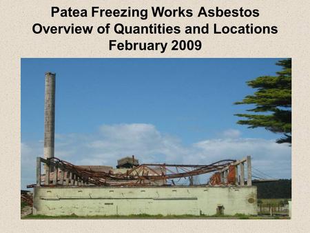 Patea Freezing Works Asbestos Overview of Quantities and Locations February 2009.