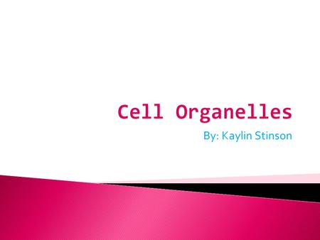 Cell Organelles By: Kaylin Stinson.