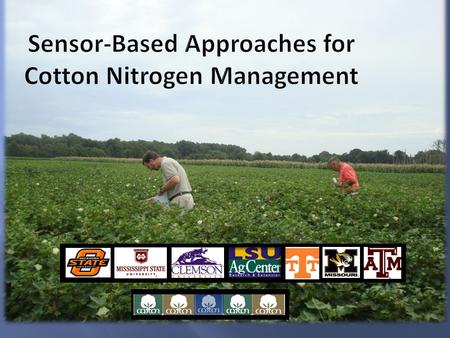 Sensor-Based Approaches for Cotton Nitrogen Management.