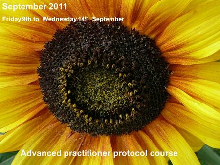 Friday 12th Sept to Wednesday 17th Sept 2008 Inclusive PHYTOBIOPHYSICS® 2008 The Mossop Philosophy September Course Jersey Train the trainers 12 th -17.