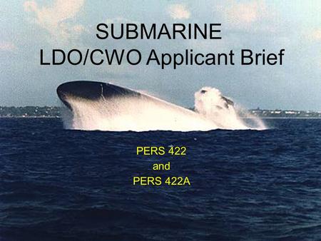 LDO/CWO Applicant Brief
