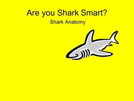 Are you Shark Smart? Shark Anatomy.