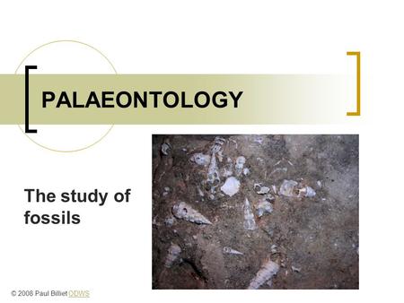PALAEONTOLOGY The study of fossils © 2008 Paul Billiet ODWSODWS.