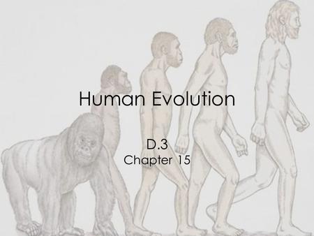 Human Evolution D.3 Chapter 15. D.3.1: Outline a method for dating rocks and fossils using radioisotopes, with reference to 14 C and 40 K Fossils, or.