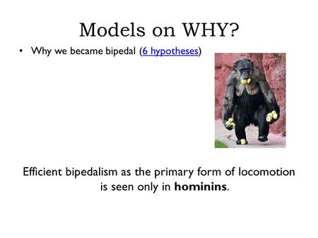Models on WHY? Why we became bipedal (6 hypotheses)6 hypotheses Efficient bipedalism as the primary form of locomotion is seen only in hominins.