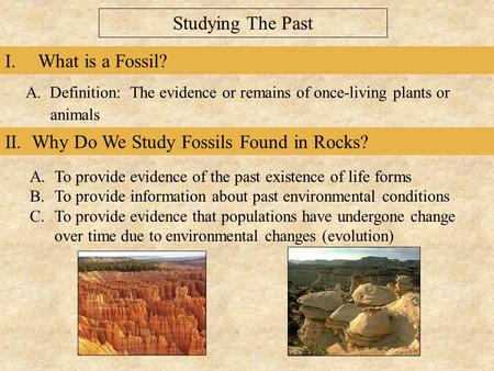 II. Why Do We Study Fossils Found in Rocks?