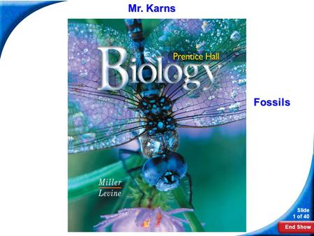 Mr. Karns Biology Fossils.