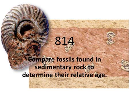 814 Compare fossils found in sedimentary rock to determine their relative age.