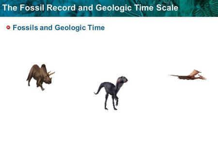 Fossils and Geologic Time