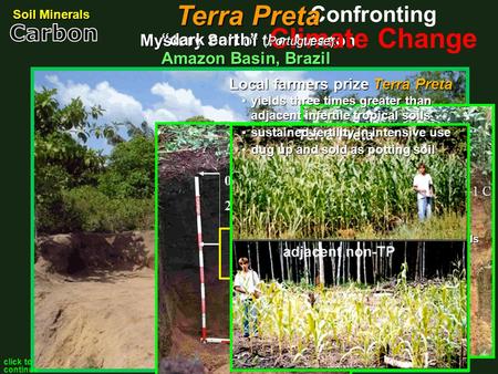 predominant Amazon soils notoriously infertile poor nutrient capacity