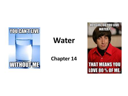 Water Chapter 14.