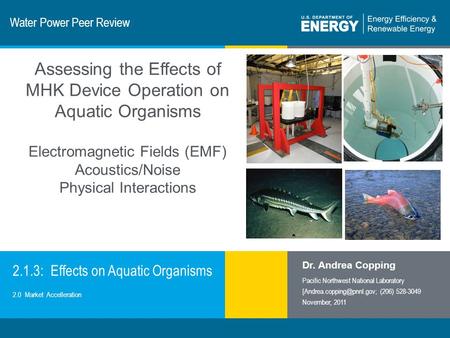 1 | Program Name or Ancillary Texteere.energy.gov Water Power Peer Review 2.1.3: Effects on Aquatic Organisms Dr. Andrea Copping Pacific Northwest National.