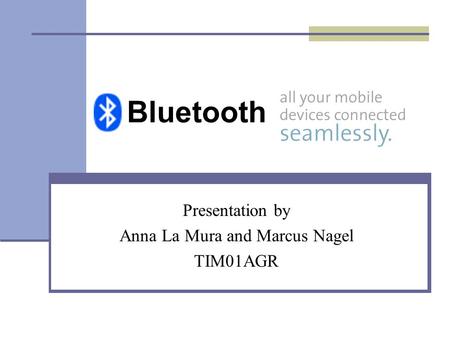 Presentation by Anna La Mura and Marcus Nagel TIM01AGR