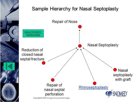 Copyright © 2001 College of American Pathologists Sample Hierarchy for Nasal Septoplasty Repair of nasal septal perforation Nasal septoplasty with graft.