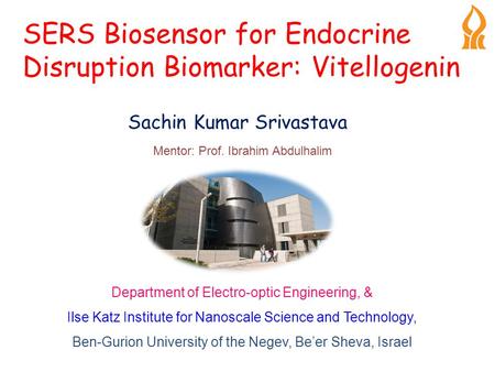 SERS Biosensor for Endocrine Disruption Biomarker: Vitellogenin