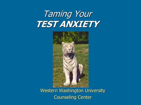 Taming Your TEST ANXIETY